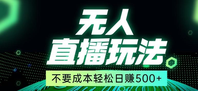 全网首发24年最新无人直播玩法，不需要成本，无需人力，一台电脑24小时为你工作-泱泱学习社
