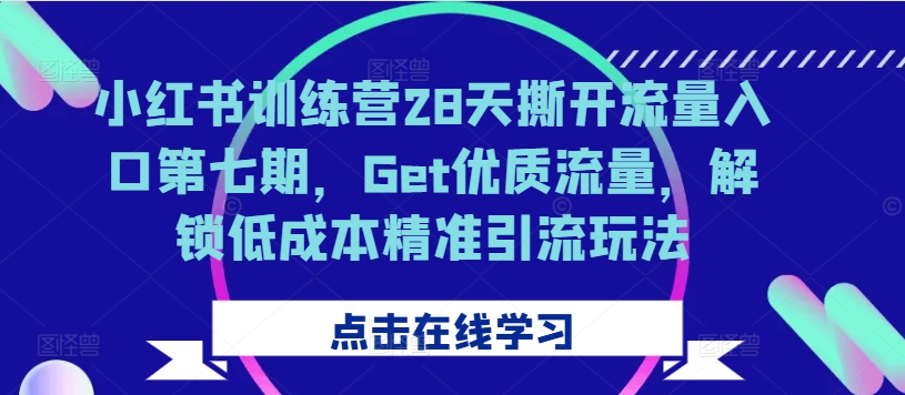 小红书训练营28天撕开流量入口第七期，Get优质流量，解锁低成本精准引流玩法-泱泱学习社