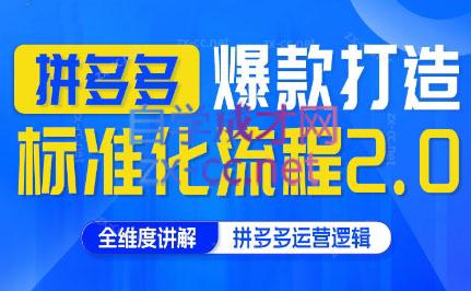 云杉老师·拼多多爆款打造标准化流程2.0-泱泱学习社