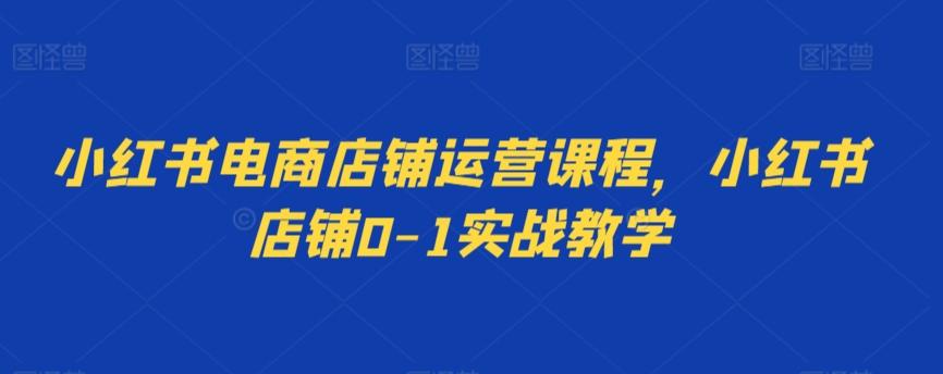 小红书电商店铺运营课程，小红书店铺0-1实战教学-泱泱学习社