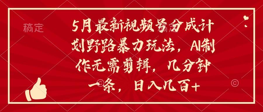 5月最新视频号分成计划野路暴力玩法，ai制作，无需剪辑。几分钟一条，…-泱泱学习社