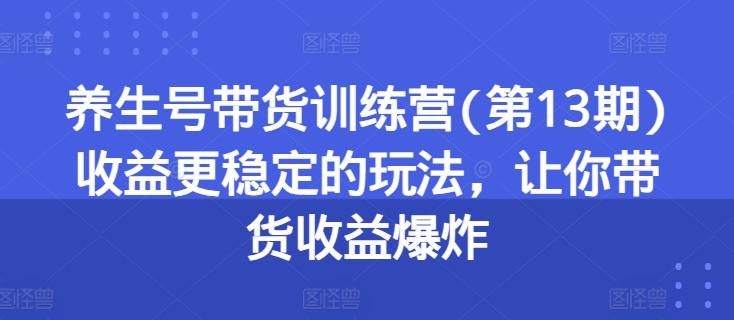养生号带货训练营(第13期)收益更稳定的玩法，让你带货收益爆炸-泱泱学习社