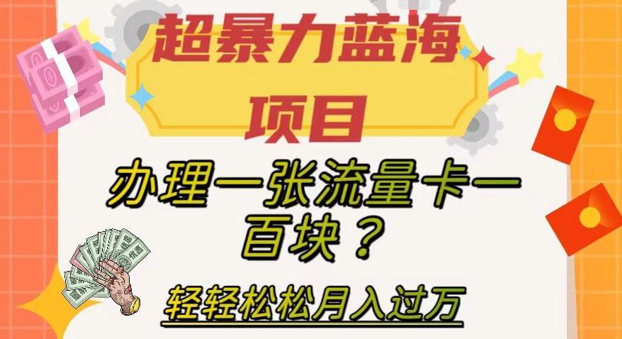 超暴力蓝海项目，办理一张流量卡一百块？轻轻松松月入过万，保姆级教程【揭秘】-泱泱学习社