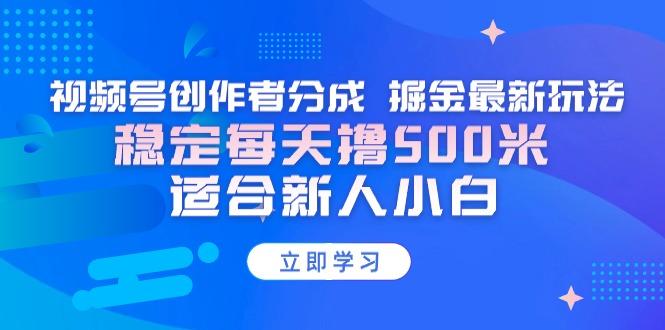 【蓝海项目】视频号创作者分成 掘金最新玩法 稳定每天撸500米 适合新人小白-泱泱学习社