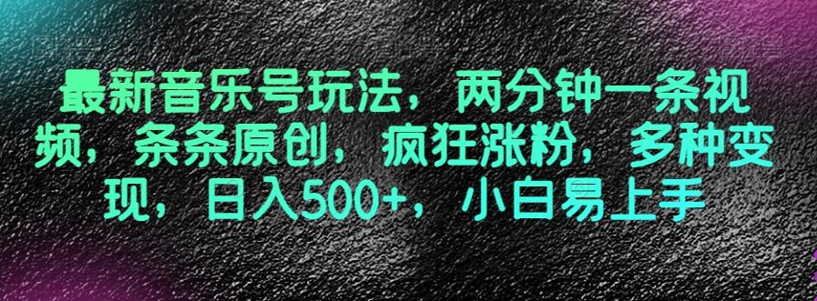 最新音乐号玩法，两分钟一条视频，条条原创，疯狂涨粉，多种变现，日入500+，小白易上手【揭秘】-泱泱学习社