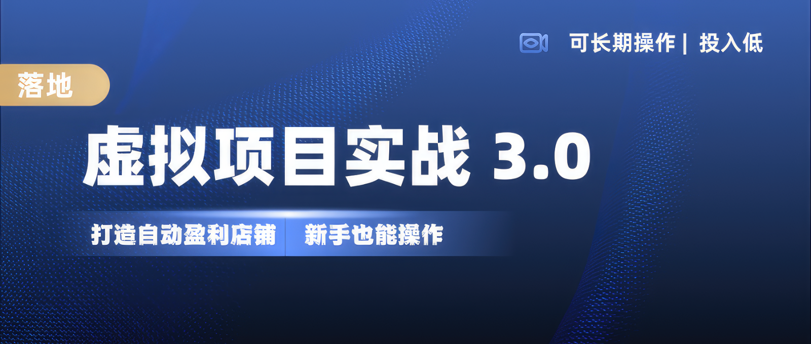 虚拟项目实操落地 3.0,新手轻松上手，单品月入1W+-泱泱学习社