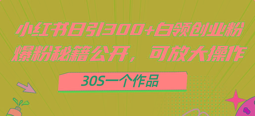 小红书日引300+高质白领创业粉，可放大操作，爆粉秘籍！30s一个作品-泱泱学习社