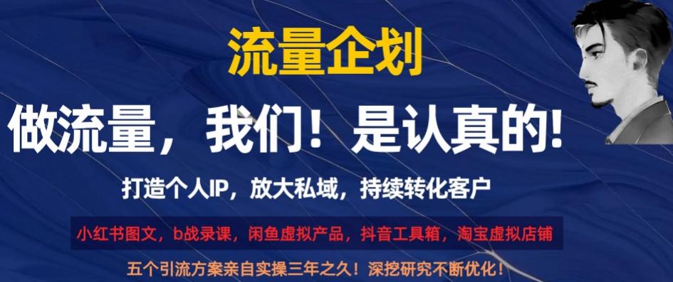 流量企划，打造个人IP，放大私域，持续转化客户【揭秘】-泱泱学习社