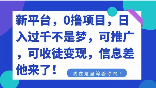 不要再花冤枉钱了，0撸项目，每天坚持，稳定1000+-泱泱学习社