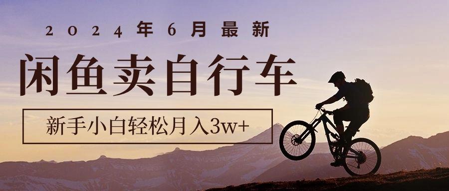 2024年6月最新闲鱼卖自行车，新手小白轻松月入3w+项目-泱泱学习社