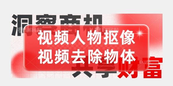 【超强视频处理工具】视频人物抠像+视频去除物体-泱泱学习社