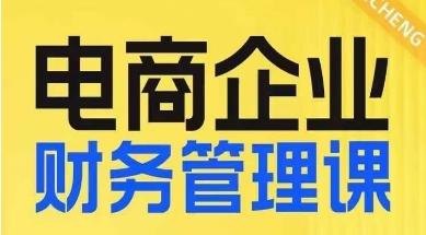 电商企业财务管理线上课，为电商企业规划财税-泱泱学习社