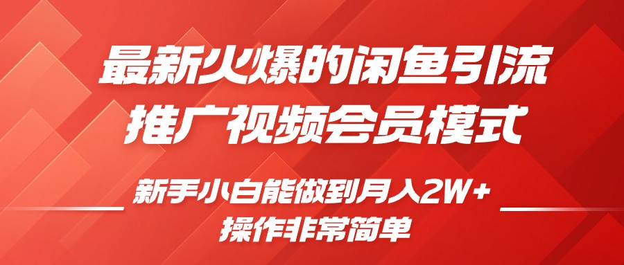 闲鱼引流推广影视会员，0成本就可以操作，新手小白月入过W+【揭秘】-泱泱学习社