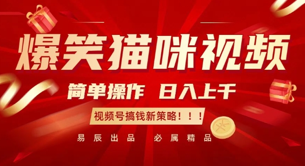 爆笑猫咪视频：简单操作，日入过K，视频号搞钱新策略【揭秘】-泱泱学习社