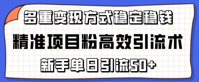精准项目粉高效引流术，新手单日引流50+，多重变现方式稳定赚钱【揭秘】-泱泱学习社