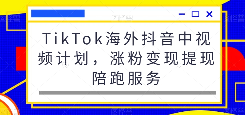 TikTok海外抖音中视频计划，涨粉变现提现陪跑服务-泱泱学习社