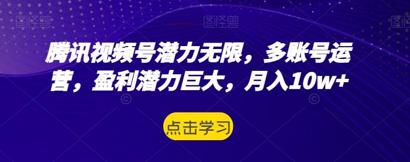 腾讯视频号潜力无限，多账号运营，盈利潜力巨大，月入10w+-泱泱学习社