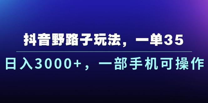 抖音野路子玩法，一单35.日入3000+，一部手机可操作-泱泱学习社