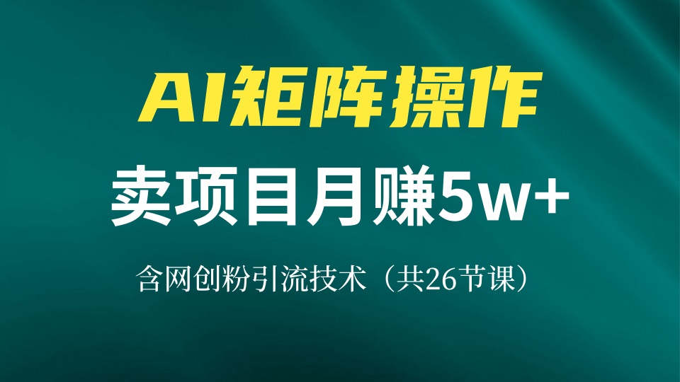 网创IP打造课，借助AI卖项目月赚5万+，含引流技术(共26节课-泱泱学习社