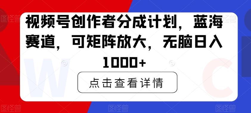 视频号创作者分成计划，蓝海赛道，可矩阵放大，无脑日入1000+-泱泱学习社
