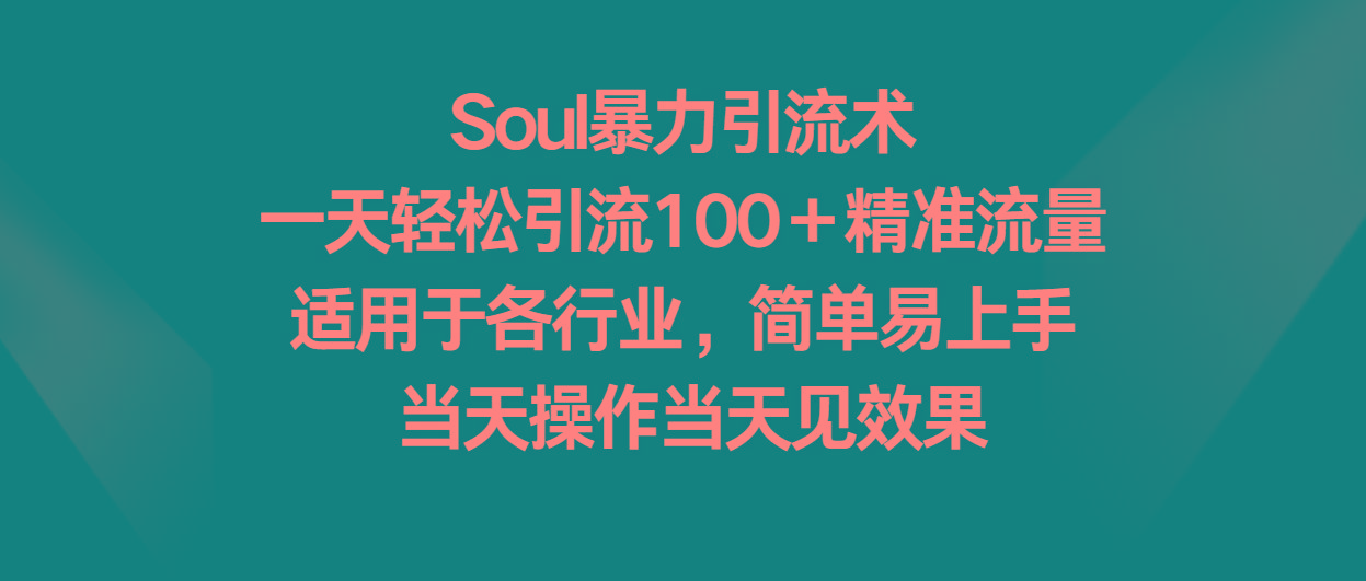 Soul暴力引流术，一天轻松引流100＋精准流量，适用于各行业，简单易上手！-泱泱学习社