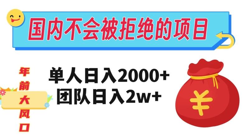 在国内不怕被拒绝的项目，单人日入2000，团队日入20000+【揭秘】-泱泱学习社