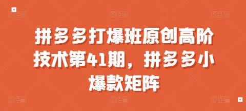 拼多多打爆班原创高阶技术第41期，拼多多小爆款矩阵-泱泱学习社