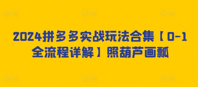 2024拼多多实战玩法合集【0-1全流程详解】照葫芦画瓢-泱泱学习社