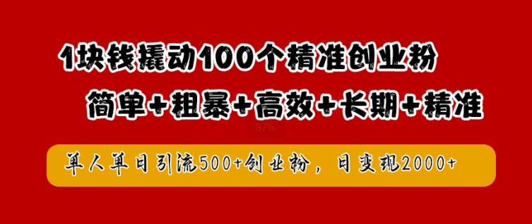 1块钱撬动100个精准创业粉，简单粗暴高效长期精准，单人单日引流500+创业粉，日变现2k【揭秘】-泱泱学习社