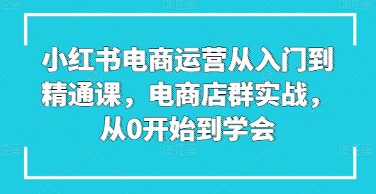 小红书电商运营从入门到精通课，电商店群实战，从0开始到学会-泱泱学习社