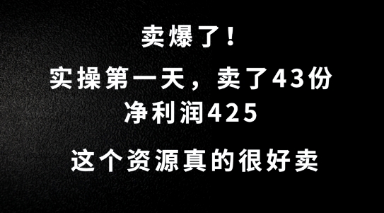 这个资源，需求很大，实操第一天卖了43份，净利润425【揭秘】-泱泱学习社