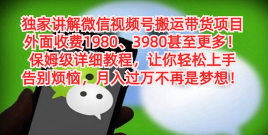 独家讲解微信视频号搬运带货项目，保姆级详细教程-泱泱学习社