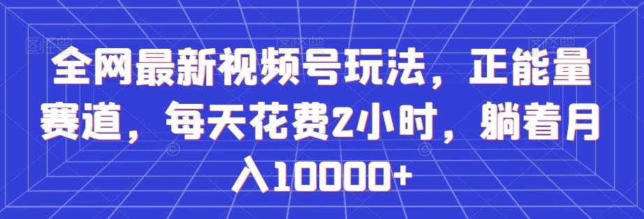 全网最新视频号玩法，正能量赛道，每天花费2小时，躺着月入10000+【揭秘】-泱泱学习社