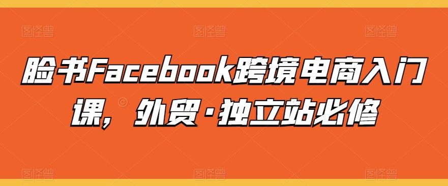 脸书Facebook跨境电商入门课，外贸·独立站必修-泱泱学习社