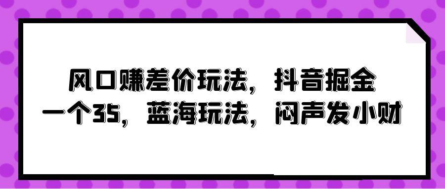 (10022期)风口赚差价玩法，抖音掘金，一个35，蓝海玩法，闷声发小财-泱泱学习社