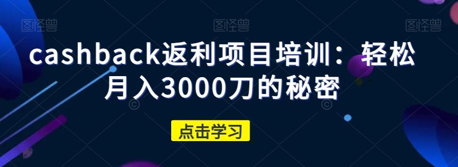 cashback返利项目培训：轻松月入3000刀的秘密-泱泱学习社