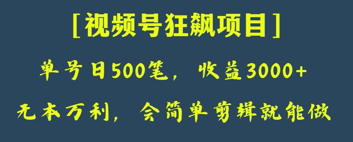 日收款500笔，纯利润3000+，视频号狂飙项目，会简单剪辑就能做【揭秘】-泱泱学习社