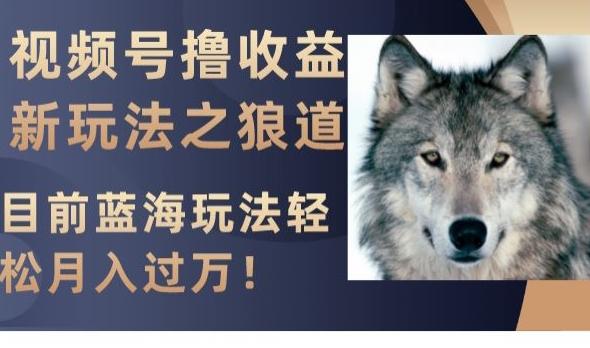 视频号撸收益新玩法之狼道，目前蓝海玩法，轻松月入过万【揭秘】-泱泱学习社