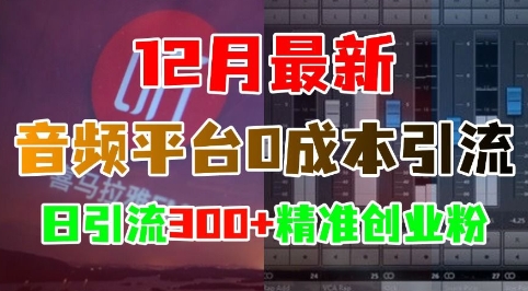 12月最新：音频平台0成本引流，日引流300+精准创业粉-泱泱学习社