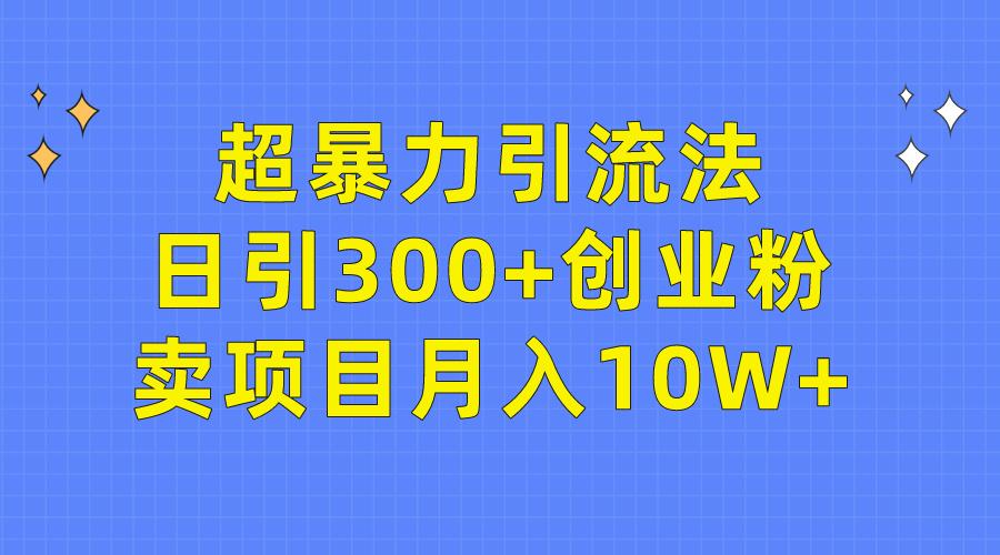 (9954期)超暴力引流法，日引300+创业粉，卖项目月入10W+-泱泱学习社