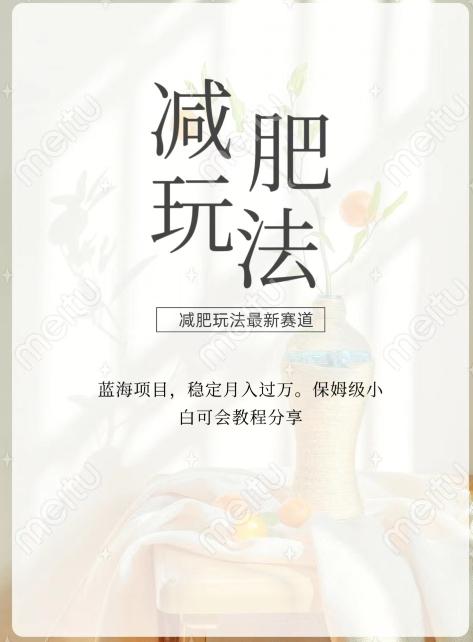 减肥流量主新玩法，轻松月入1W，可矩阵操作收入翻倍-泱泱学习社