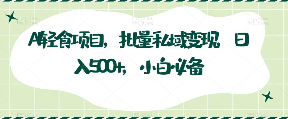 AI轻食项目，批量私域变现，日入500+，小白必备-泱泱学习社