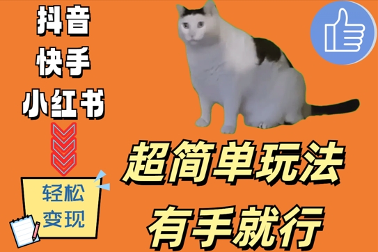 超简单玩法，有手就行，靠猫咪视频日入500+【揭秘】-泱泱学习社