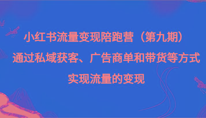 小红书流量变现陪跑营（第九期）通过私域获客、广告商单和带货等方式实现流量变现-泱泱学习社