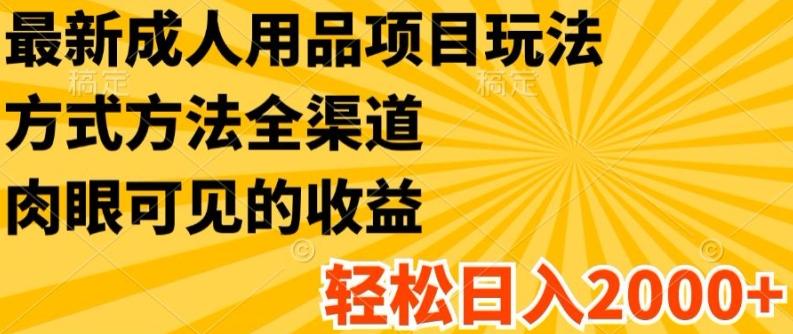 最新成人用品项目玩法，方式方法全渠道，轻松日入2K+【揭秘】-泱泱学习社