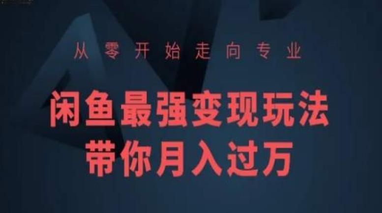 从零开始走向专业，闲鱼最强变现玩法带你月入过万-泱泱学习社