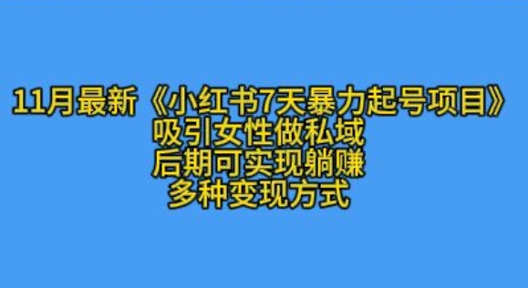 K总部落11月最新小红书7天暴力起号项目，吸引女性做私域【揭秘】-泱泱学习社
