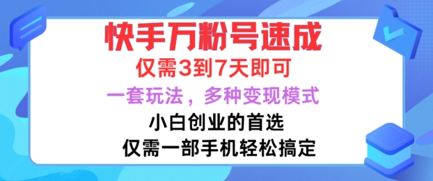 快手万粉号速成，仅需3到七天，小白创业的首选，一套玩法，多种变现模式【揭秘】-泱泱学习社