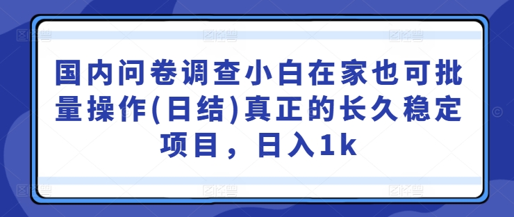 国内问卷调查小白在家也可批量操作(日结)真正的长久稳定项目，日入1k【揭秘】-泱泱学习社