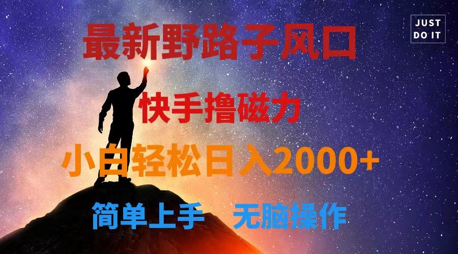 最新风口！快手撸磁力，野路子，小白无脑操作日入2000+-泱泱学习社